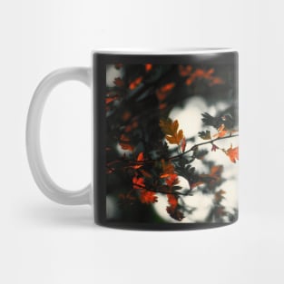 Through the Fire Mug